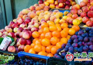 水果集中上市，价格止跌回升 ()