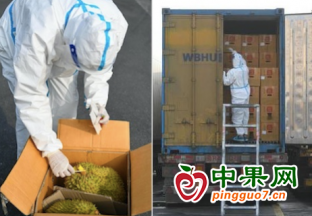 嘉兴水果市场给进口水果测核酸 ()