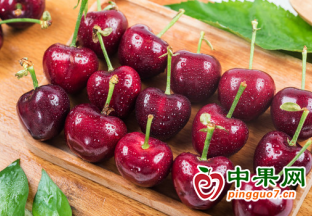 国产樱桃即将高价上市 ()