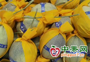 海南鲜哈密瓜首次实现出口 ()