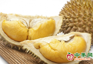 广东茂名成功种出猫山王榴莲 ()