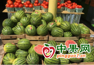 德州：西瓜樱桃价格“拦腰斩” ()