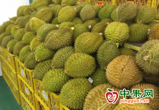 2022年中国榴莲进出口数据分析 ()