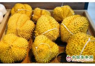 2022年东博会榴莲节将在云上举办 ()