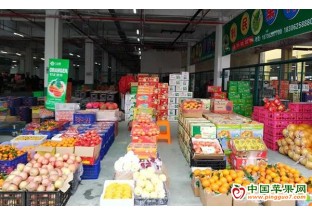 柳州人实现“水果自由” ()