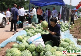 重庆忠县：举行首届西瓜文化节 ()