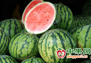 打响特色水果金字招牌 ()