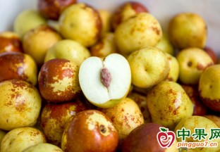 合肥：冬枣上市  尝鲜价不菲 ()