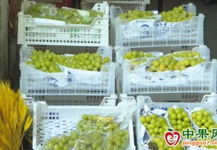 阳光玫瑰葡萄掉入“十元档” ()