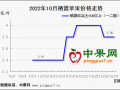 晚富士地面交易扫尾　后市行情如何发展? ()
