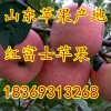 18369313268山东日照红富士苹果批发基地