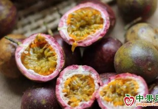 全国首批进口越南百香果入华 ()