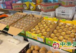 节后烟台水果价格变动较小 ()