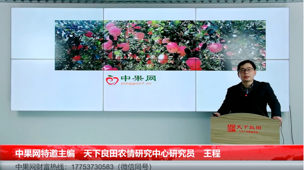 2022-2023年苹果市场调研报告 ()