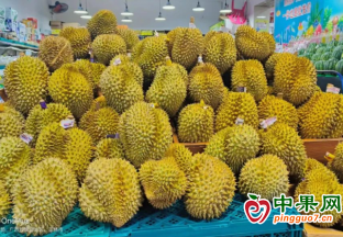 广西市场榴莲降价 ()