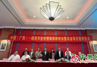 广西一季度农产品进出口额超164亿元 ()