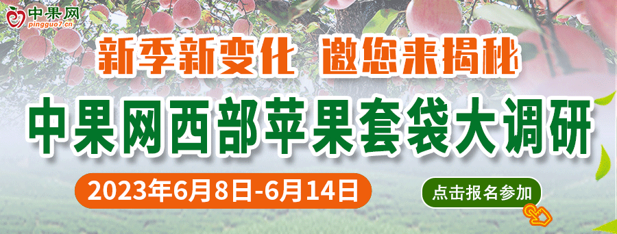 套袋调研1