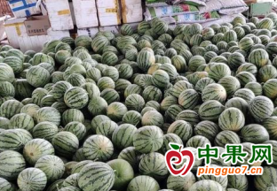 永川：五间西瓜直通车正式启动 ()