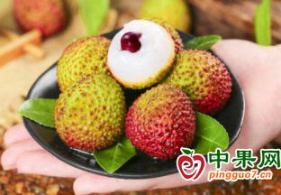 妃子笑荔枝行情急转直下 ()