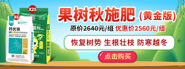 图片 7
