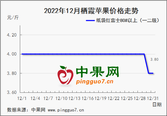 图片 5