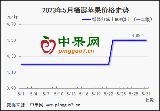 图片6