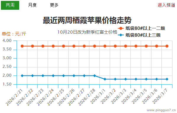 苹果行情分化  好货价格抬头 ()